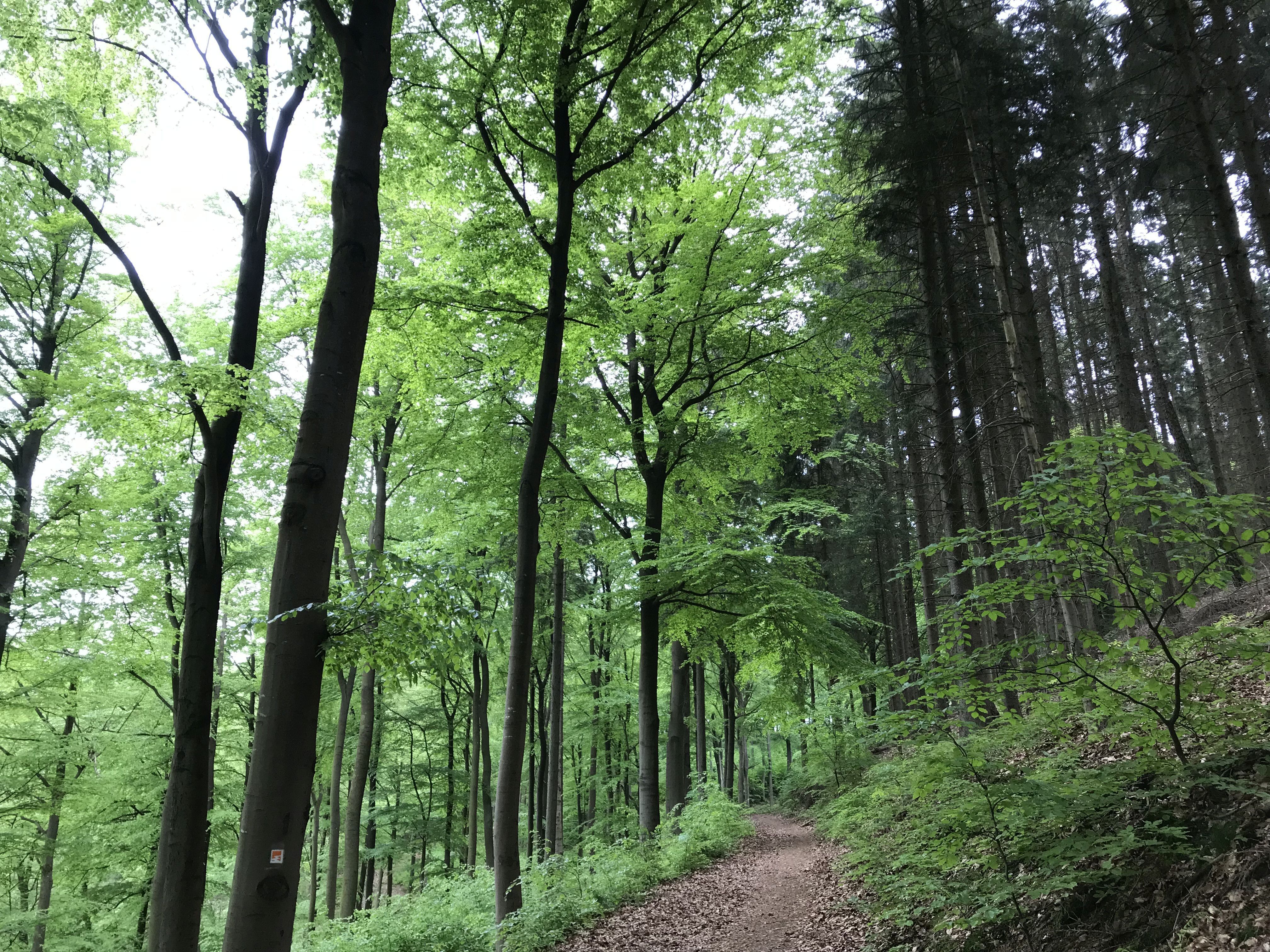Foto: VHS Neuss