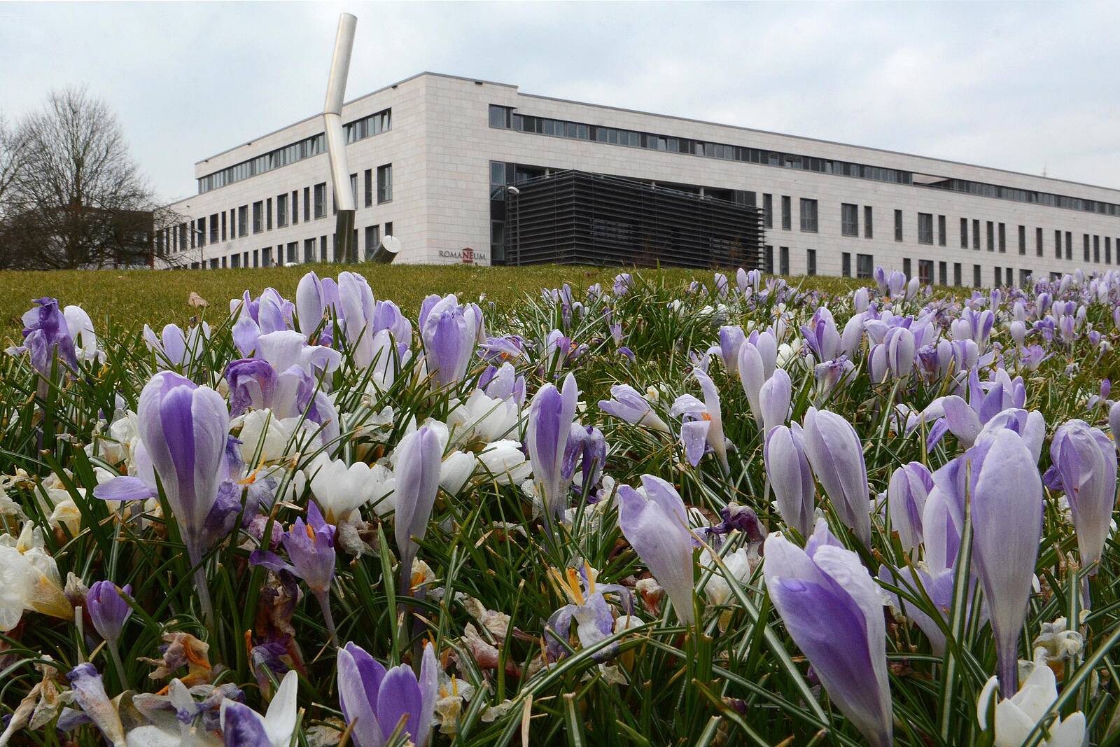 Foto vom RomaNEum: Woitzschuetzke